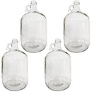 E.C. Kraus 1 gal Glass Jug Pack of 4 - Clear - Brand New