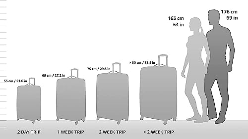 TRAVEL SELECT AMSTERDAM EXPANDABLE ROLLING UPRIGHT LUGGAGE, 25IN - GRAY - Brand New