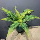 Artificial Boston Fern Bush Fake Persian Ferns Leaves Greenery Large B0B1MD3647 - Brand New