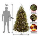 NATIONAL TREE COMPANY PRE-LIT ARTIFICIAL FULL CHRISTMAS TREE, 6.5 FEET - GREEN - Like New
