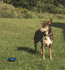 Lixit Bracket Mount and Stake Retractable Leash Tie Outs for Dogs Stake Medium - Brand New