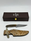 VETUS Damascus Hunting Knife w/ Ram's Horn Handle - Like New