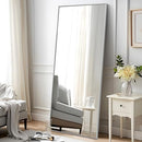 JJ00372ZZV NeuType Full Length Mirror 65"x22" - SILVER - Like New
