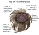 GABOR TOP PERFECT HAIR TOPPER 10" LONG CLIP IN GL 56-60 SUGARED SILVER - SILVER - Brand New