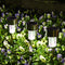 SOLPEX 12 Pack Solar Outdoor Lights Pathway, Stainless Steel - Scratch & Dent