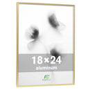 FrameWorks 18x24 Brushed Aluminum Poster Frames 1 Pack - Gold - Brand New