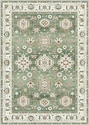Valenrug 8x10 Area Rug, TPR66 - Green - Like New