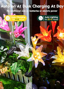 BRIGHTOWN SOLAR LIGHTS OUTDOOR, 4 PACK SOLAR GARDEN LIGHTS LILY - MULTICOLOR - Like New
