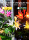 BRIGHTOWN SOLAR LIGHTS OUTDOOR, 4 PACK SOLAR GARDEN LIGHTS LILY - MULTICOLOR - Like New