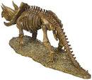 Home Decor Triceratops Dinosaur Skeleton Statue - Brand New