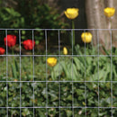 YARDGARD 1X2 MESH WELDED WIRE FENCE ROLL 24X25FT 16-GAUGE GALVANIZED STEEL - Brand New