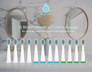 PURSONIC WHITENING USB RECHARGEABLE SONIC TOOTHBRUSH-12 BRUSH HEADS!- 38,000 - Like New