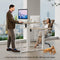 SMUG Standing Desk, 40 x 24 Inch Electric Height Adjustable Computer Desk - Like New