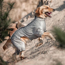 PET LIFE DOG HELIOS 'THUNDER-CRACKLE' WADED ULTRA-PLUSH MEDUIM - LIGHT GRAY - Like New