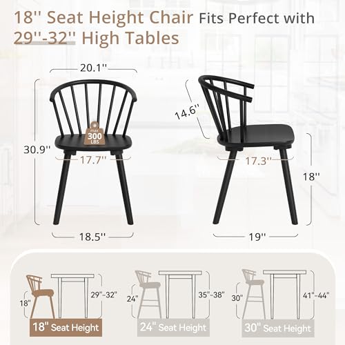 LUE BONA BLACK DINING CHAIRS, SET OF 2, Semicircular Backrest Farmhouse - BLACK - Like New