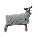 B07Q84BPK8 Weaver Leather Sheep Blanket with Solid Butt, Medium, Gray - Like New