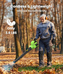 NCOEN 21V LIGHTWEIGHT LEAF BLOWER CORDLESS BATTERY CHARGER L02-007A - GREEN - Like New