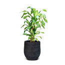 Elly Décor 12 inch Conic fiberstone Planter 11"x12" B09QBQXMXY - Stripes, Gray - Like New