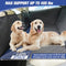 Allansing Back Seat Cover for Dogs YM-900D-515 -Black - Like New
