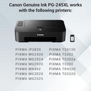 CANON INK CARTRIDGE, COMPATIBLE WITH MULTIPLE MODELS, PG-245XL - BLACK - Brand New