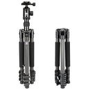 Sirui ET-2204 Carbon Fiber Tripod with E-20 Ball Head - 57.1" Max Height - Brand New