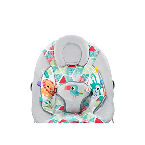 Bright Starts Baby Bouncer Soothing Vibrations Infant Seat 0-6 Months - Toys - Like New