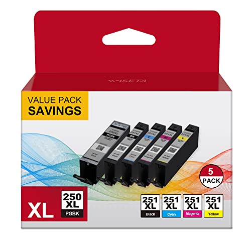 CANON 250 251 XL 5 COLOR VALUE PACK FOR CANON PGI-250XL CLI-251XL INK MULTICOLOR - Brand New