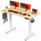 Sweetcrispy Electric Standing Desk, 55 x 24in Adjustable Height Electric - Like New