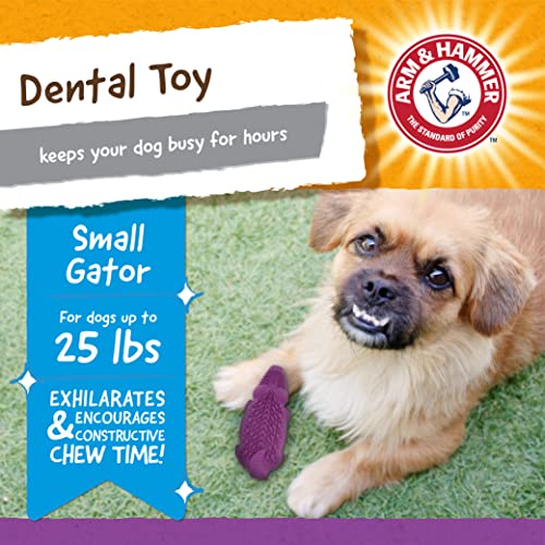 ARM HAMMER STORE SUPER TREADZ MINI GATOR DENTAL CHEW TOY FF11927 - GATOR/PURPLE - Brand New