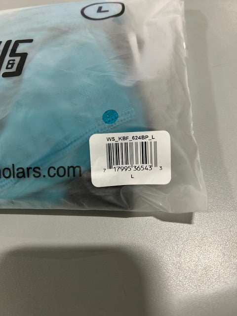 WARRIORS & SCHOLARS WARRIORS AND SCHOLARS TURQUISE MENS BRIEFS - L - TURQUISE - Brand New