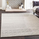 Surya Bohemian Door Mat Rug Rectangle 2' x 3' - Brand New