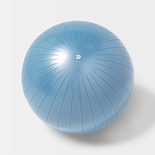 AIM-STABILITYBALL-BLUE-55 Stability Exercise Ball w Pump 55cm - Scratch & Dent