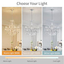 ANJIADENGSHI Mini Crystal Chandelier K9 Crystal Lighting Chandelier - Chrome - Like New