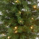 NATIONAL TREE COMPANY PRE-LIT ARTIFICIAL TREE MONTCLAIR SPRUCE 4 FT BLACK/GOLD - Brand New