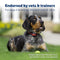 PETSAFE STUBBORN DOG STAY & PLAY WIRELESS PET FENCE RECEIVER COLLAR PIF00-13672 - Like New