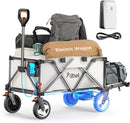 Litheli Collapsible Wagon Cart with Wheels Foldable U20HW01-0A115 - Gray - Like New