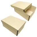 Lineco Archival Photo Card Box, Museum-Quality, 5x8x12 Inch, Tan, 2 Pack - Brand New