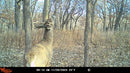 WILDGAME INNOVATIONS INSITE-V 2-PACK CELLULAR TRAIL CAMERA 20 MP 80FT - GRAY - Brand New
