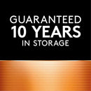 DURACELL COPPERTOP D ALKALINE BATTERIES BOX OF 12 MN1300BK - BLACK - Brand New