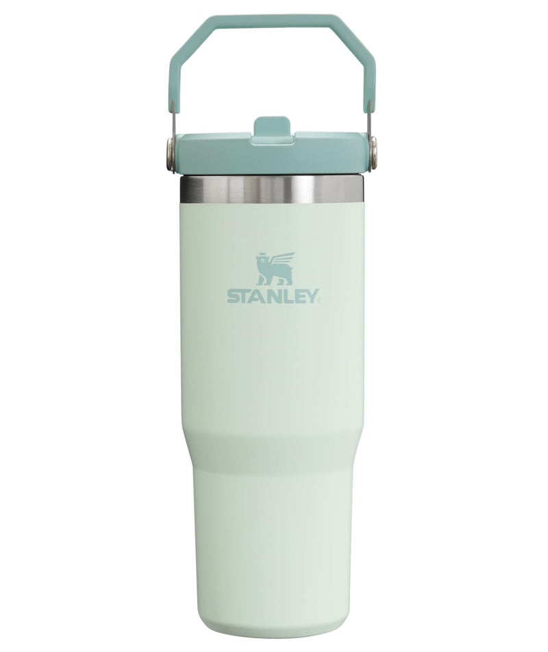 STANLEY ICEFLOW FLIP STRAW TUMBLER 30 OZ LID AND FLIP UP STRAW - Scratch & Dent