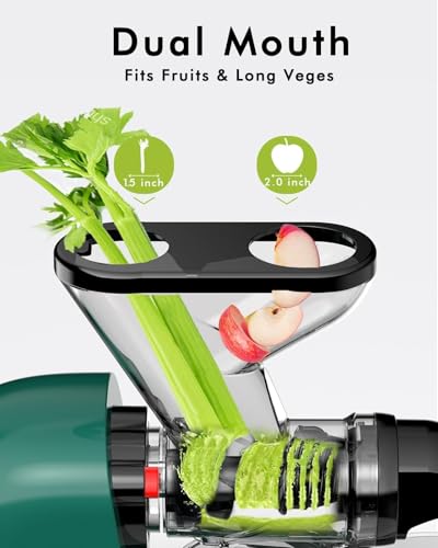SIFENE COLD PRESS JUICER MACHINE SLOW MASTICATING JUICER JS3304 - GREEN - Like New