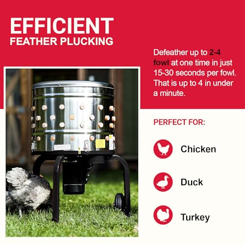 KITCHENER ELECTRIC CHICKEN PLUCKER MACHINE 1HP 120VAC - STAINLESS STEEL POULTRY - Like New
