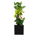 TEVAGROW TEVATOWER MINI SMART SELF-WATERING INDOOR GARDEN SYSTEM - BLACK - Like New