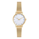 TED BAKER 28MM WATCH - STACIIE - GOLD - Like New
