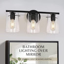 The Yodeling Goat Black Vanity Light - Farmhouse Bathroom Light Fixtures - Brand New