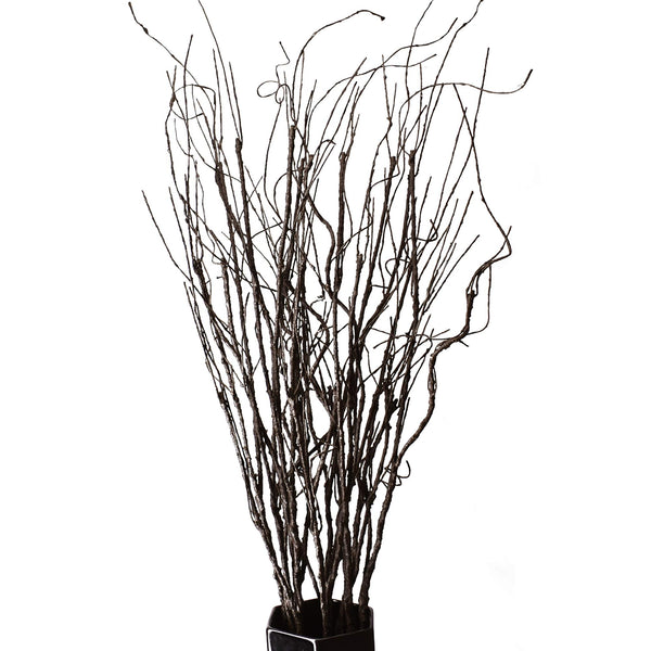 FEILIX 10PCS LIFELIKE CURLY WILLOW BRANCHES DECORATIVE DRIED TWIGS - BROWN - Like New