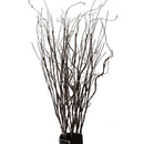 FEILIX 10PCS LIFELIKE CURLY WILLOW BRANCHES DECORATIVE FAKE BENDABLE STICKS - Brand New