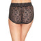 WACOAL WOMEN'S HALO LACE BRIEF PANTY - SIZE: WOMEN S - BLACK - Brand New