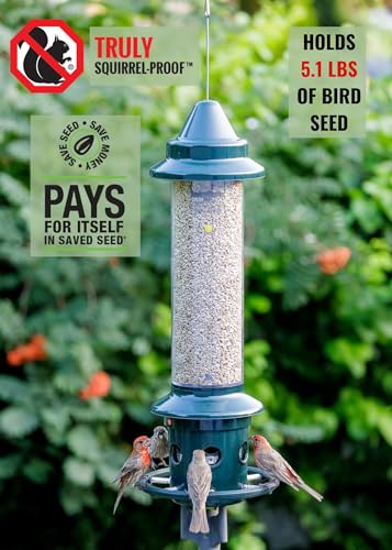 BROME SQUIRREL BUSTER PLUS SQUIRREL-PROOF BIRD FEEDER - GREEN - Like New