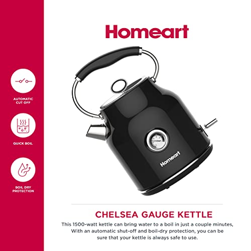 HOMEART CHELSEA RETRO CORDLESS KETTLE WITH TEMPERATURE HKB8 - STAINLESS STEEL Like New